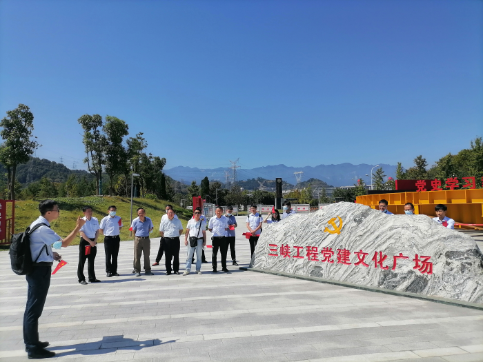图片7
