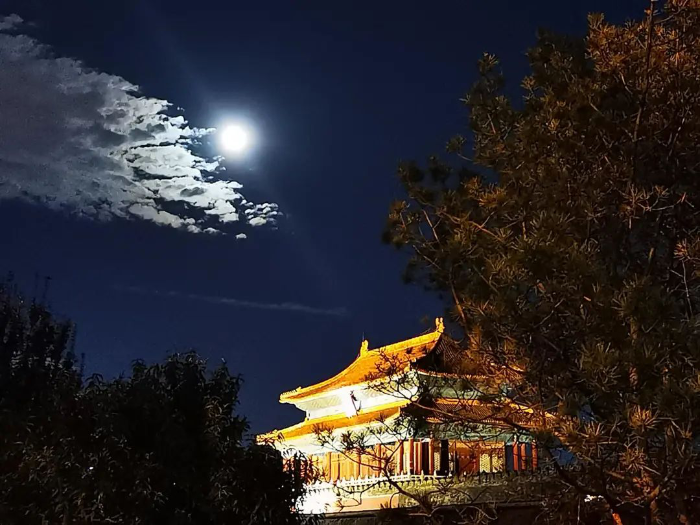 图片1