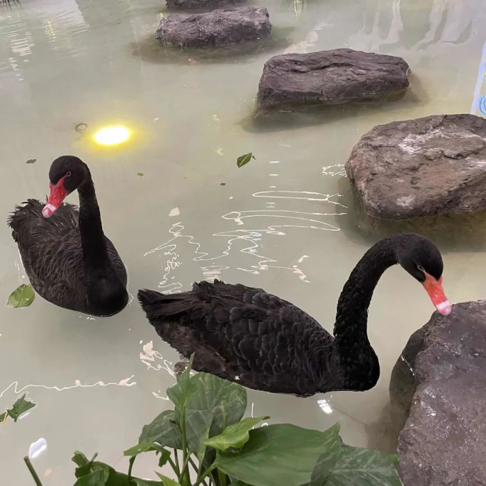 图片6