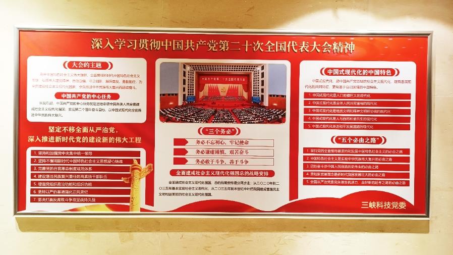 图片6