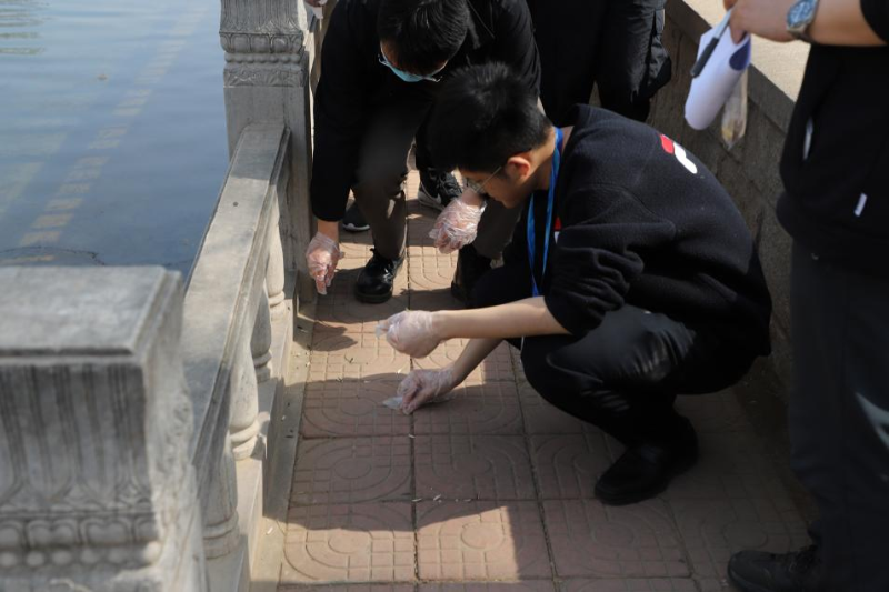 图片10