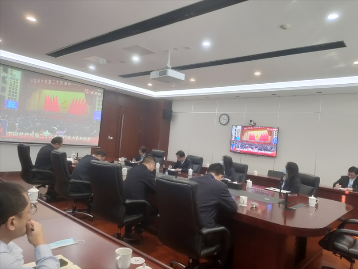 图片12