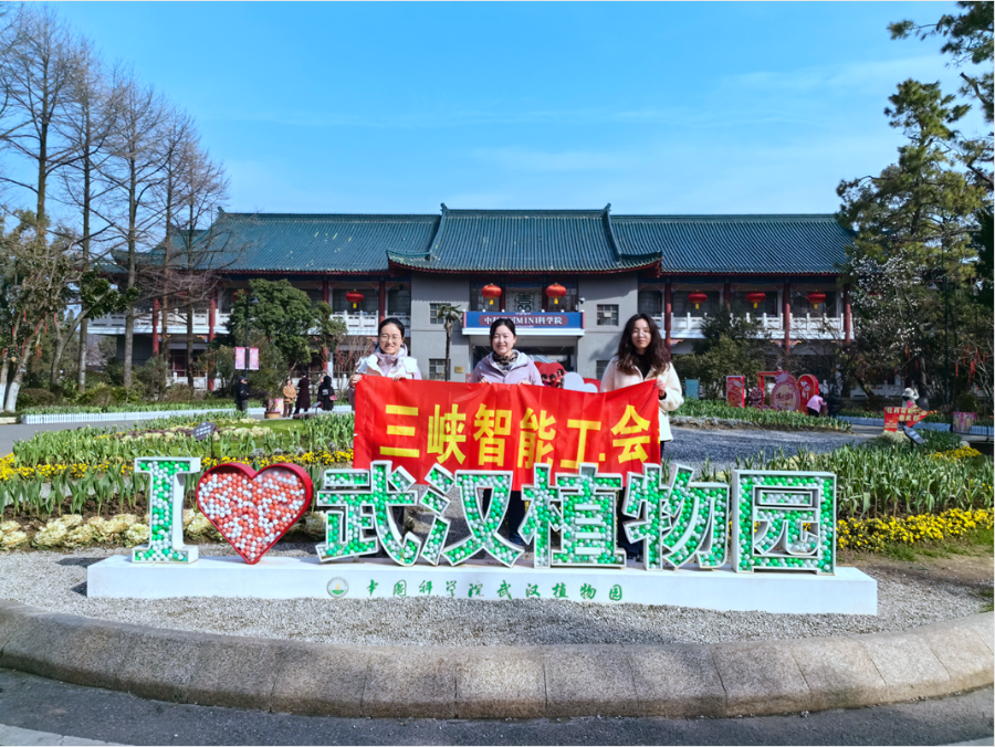 图片8